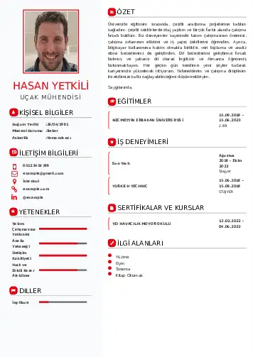 cv indir